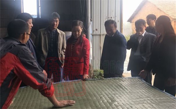 沙洋縣人大領(lǐng)導(dǎo)調(diào)研全縣秸稈綜合利用工作