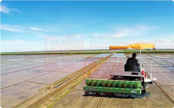 世達爾農(nóng)機助力春耕 發(fā)揮主力軍作用