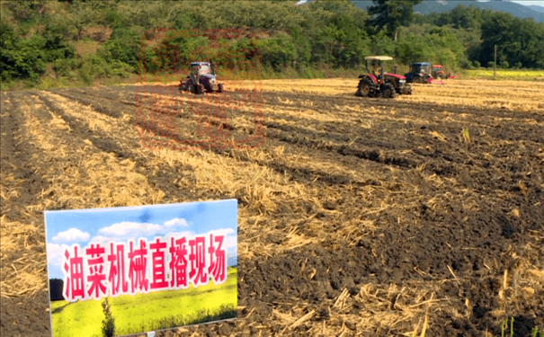 世達(dá)爾秸稈打捆機(jī)助力羅田農(nóng)民秋收秋播