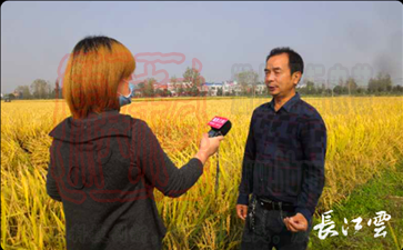 天門市瑞豐農(nóng)產(chǎn)品產(chǎn)銷專業(yè)合作社理事長魯文武介紹農(nóng)民土地季節(jié)性流轉(zhuǎn)